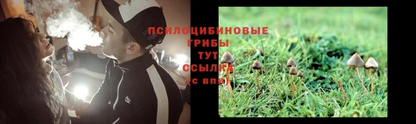 эйфоретик Верея