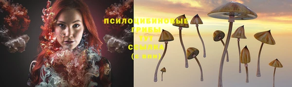 мет Верхний Тагил
