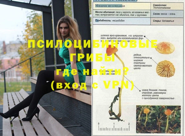 эйфоретик Верея