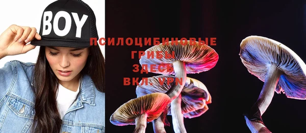 Альфа ПВП Верхнеуральск