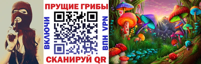 Псилоцибиновые грибы Psilocybine cubensis  Купить где  Кубинка 